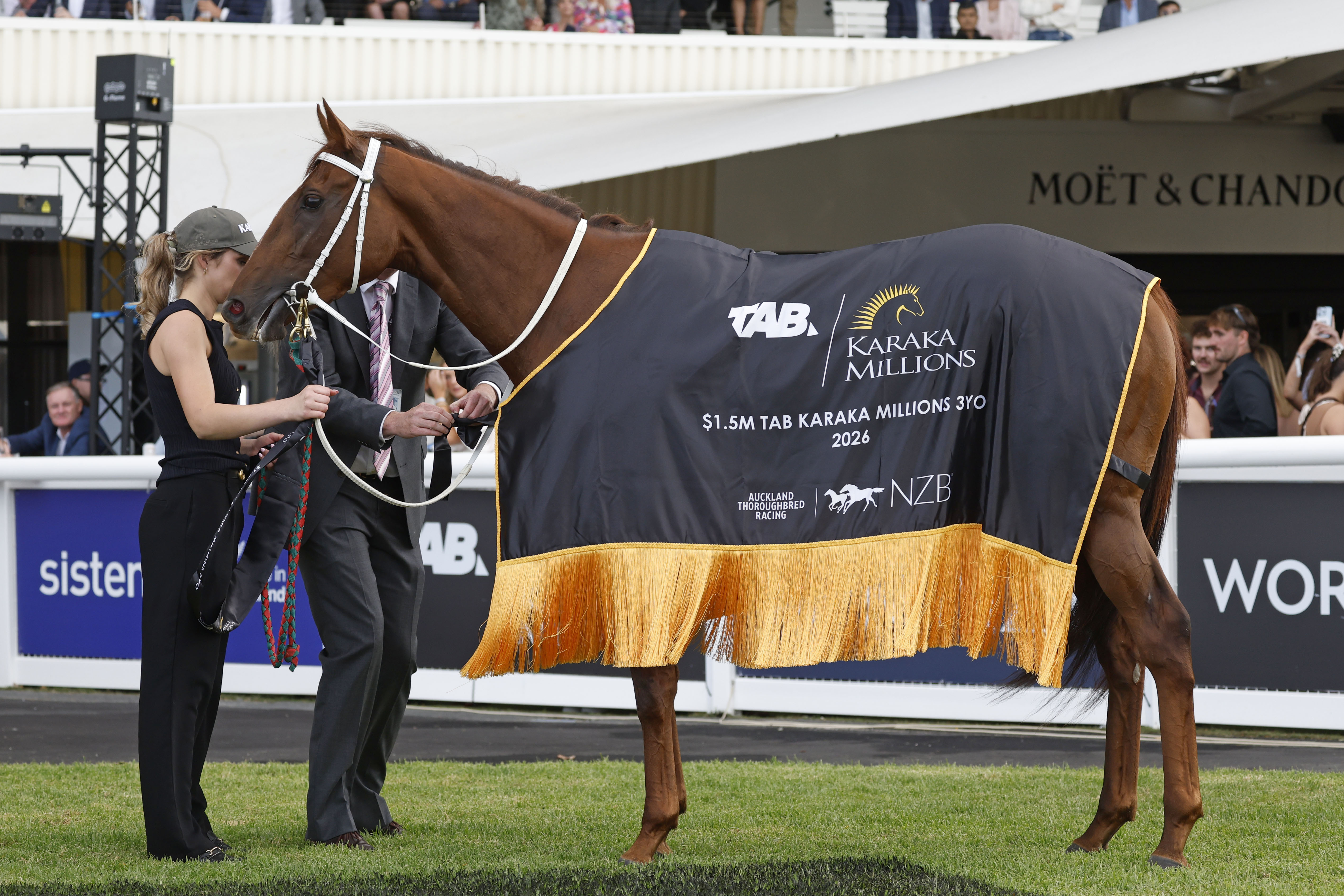 Karaka Millions Series | NZB